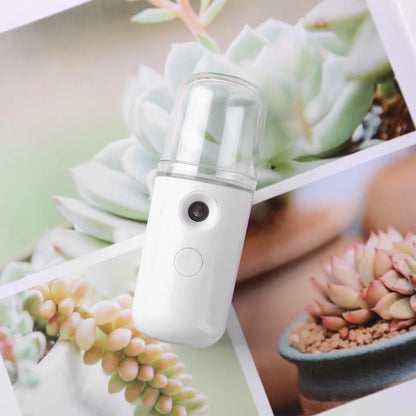 Mini Nano Facial Mist Sprayer